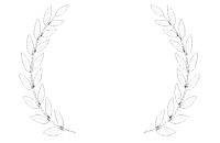 Serious Play - Gold Medal